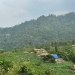भौतिक विकासको पर्खाइमा डडेलधुराको पलगडी गाउँ