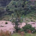 पहिरोले सुर्नयामा दोहोरो जोखिम, नदी थुनिँदा बस्तीमा पस्ने खतरा