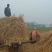 मौसम फेरिँदा चिन्तामा किसान