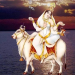 शारदीय नवरात्रः आठौँ देवी महागौरीको विधिपूर्वक गरियो पूजा आराधना 