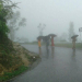 आज यी ५ प्रदेशमा भारी वर्षाको सम्भावना