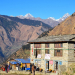 बझाङको साइपालमा भाइरल ज्वरोका बिरामी बढ्दै, औषधी अभाव