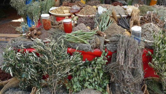 जडीबुटीमा किसानलाई आकर्षित गर्दै प्रशोधन केन्द्र