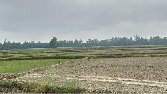 भूमिहीन नागरिकको जग्गा व्यवस्थापनका लागि नापनक्सा