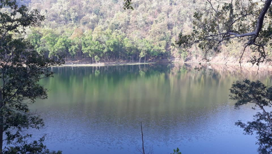 आलिताल/फोटो: खगेन्द्र साउद