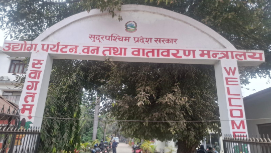 प्रदेश वन मन्त्रालयका दश लाखमुनिका योजना कार्यान्वयनमा गोलमाल!