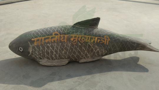 सुदूरपश्चिमका मुख्यमन्त्रीलाई माछा उपहार आएपछि.....