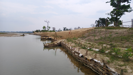 कन्द्रा नदी नियन्त्रणमा जैविक तटबन्ध प्रभावकारी बन्दै