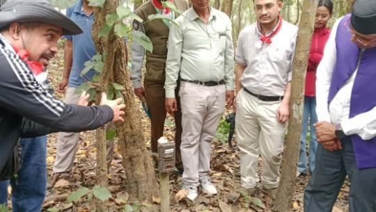 शुक्लाफाँटा–लालझाडी क्षेत्रमा बाघ गणनाको क्यामेरा चोरी, मेमोरी कार्डसमेत गायब 