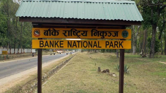 पर्यटक भित्र्याउन नयाँ योजना बनाउँदै निकुञ्ज