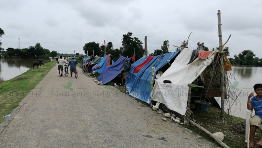 बाढीले कैलालीमा हजारौं विस्थापित