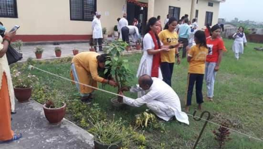कैलालीमा बिरुवालाई रक्षाबन्धन