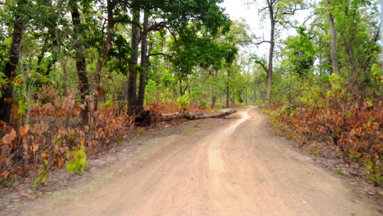 फोटो : अविनाश चौधरी 