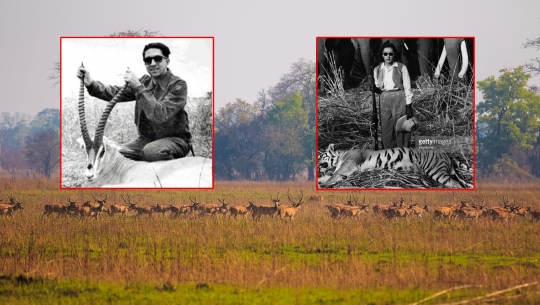 शुक्लाफाँटाभित्र लुकेका कथाः 'बाघ देख्दा राजा महेन्द्र बेहोस, रानी रत्नलाई लाग्यो गोली'