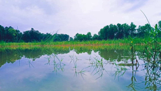 कञ्चनपुरको बेलौरीस्थित शोभाताललाई पर्यटकीय क्षेत्रका रुपमा विकास गरिँदै