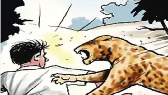 शुक्लाफाँटामा वन्यजन्तु प्रभावित क्षेत्रमा सेन्सरयुक्त सौर्यबत्ती जडान