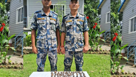 कैलालीमा सशस्त्रद्धारा कटुवा पेस्तोल र एक किलो चरेस बरामद