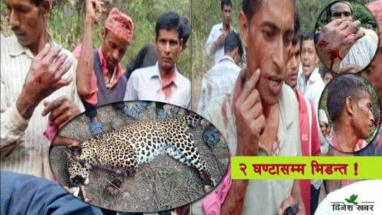 ‘बाघ’ मार्ने मान्छेहरु !