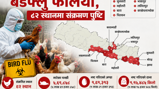 देशका ११ जिल्लामा बर्डफ्लु फैलियो, ८२ स्थानमा संक्रमण पुष्टि