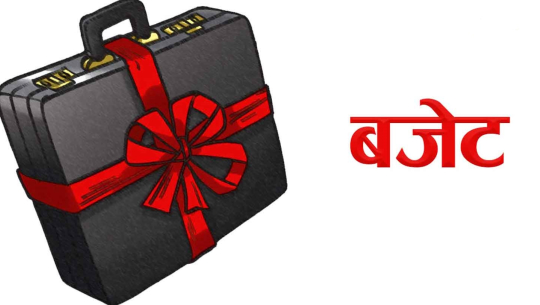 बजेट कार्यान्वयन चुनौतीपूर्ण : अर्थशास्त्री