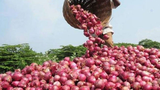 प्याजको मुल्य ३० रुपैयाँले बढ्यो