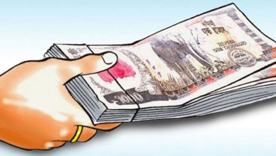 कृषि सामग्री र बीउमा ५० प्रतिशत अनुदान दिने