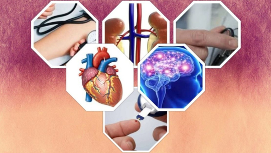 कञ्चनपुरमा नसर्ने रोग पहिचानका लागि एक महिने स्क्रिनिङ अभियान