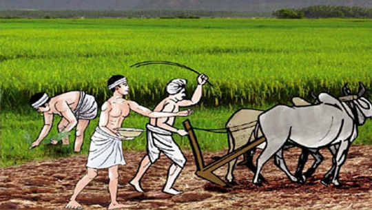 कैलालीमा कृषि आधुनिकीकरण परियोजनाले लक्ष्यअनुसार काम गर्न सकेन