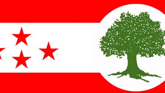 दार्चुला निर्वाचन अपडेट: कांग्रेस ४०७ मतले अगाडि