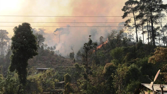 सुदूरपश्चिम प्रदेशमा वनको ठूलो हिस्सा डढेलोका कारण सखाप हुने चिन्ता