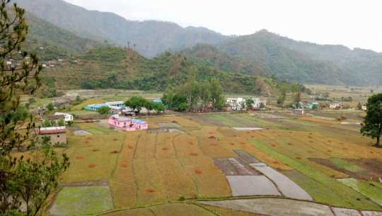 विद्यार्थीको उपचारका लागि स्वास्थ्यकर्मीको टोली डोटीको चौकीगाउँमा