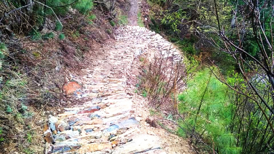 छाङ्गरुदेखि कालापानी जाने बाटो निर्माण गरिँदै