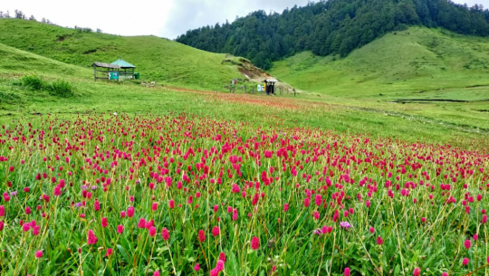 खप्तड भ्रमणमा आउने पर्यटकको संख्या वर्षेनि घट्दै, कहाँ जान्छ राज्यको लगानी?