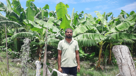 वैदेशिक रोजगारबाट फर्केर केराखेतीमा जमेका भण्डारी