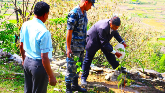 डिभिजन वन कार्यालय बझाङले गर्यो विद्यालयमा वृक्षारोपण