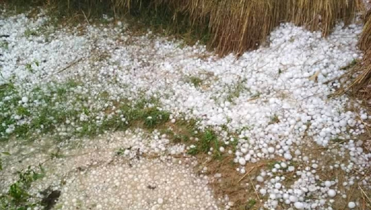 भारतमा असिना पानीका कारण २५ जनाको मृत्यु