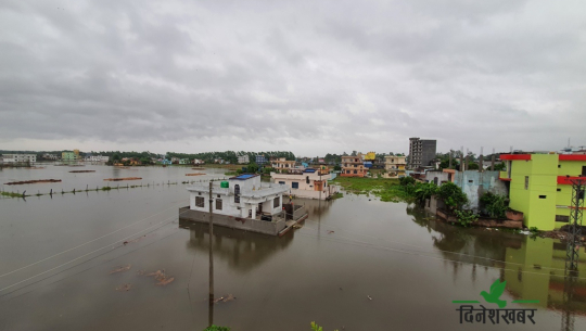 वर्षा रोकिए पनि धनगढीवासीका घर पानीमै