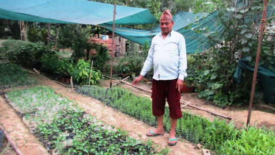 नर्सरी व्यवसायबाट मनग्य आम्दानी गर्दै धामी परिवार