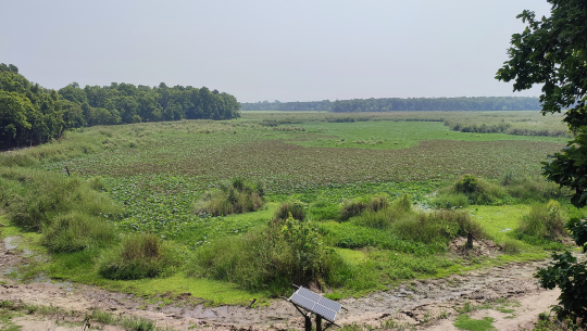 जलवायु परिवर्तनका दुष्प्रभावः सुक्दै शुक्लाफाँटा निकुञ्जका ताल