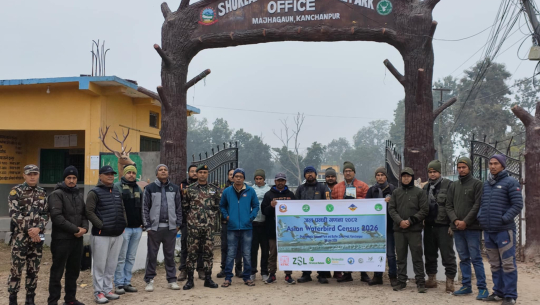 कञ्चनपुरमा जलपन्छी गणना सम्पन्न, नतिजा केही दिनमै आउने