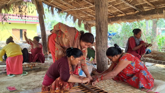 कञ्चनपुरमा स्वरोजगारका लागि सीपमूलक तालिम सञ्चालन