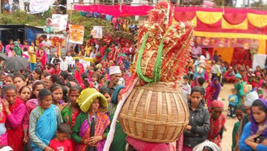 सुदूरपश्चिममा गौरा पर्व सुरुः घरघरमा बिरुडा राखी मनाइँदै
