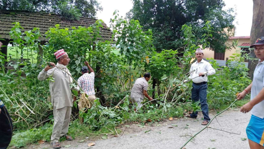 कञ्चनपुरको मुक्त हलिया परिवारलाई दसैं खर्च जुटाउने पिरलो