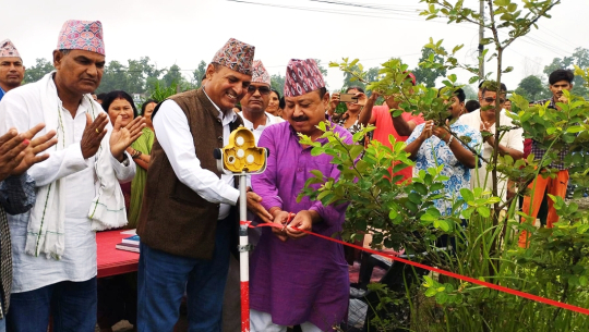 धनगढीका १२ वटा वडाहरूमा नापजाँच सकियो,  पुर्जा वितरणमा समस्या