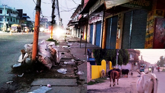 दुर्गन्धित बन्यो धनगढीको मुख्य बजार (फोटोसहित)