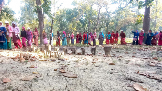 Holi celebrated with enthusiasm across the terai
