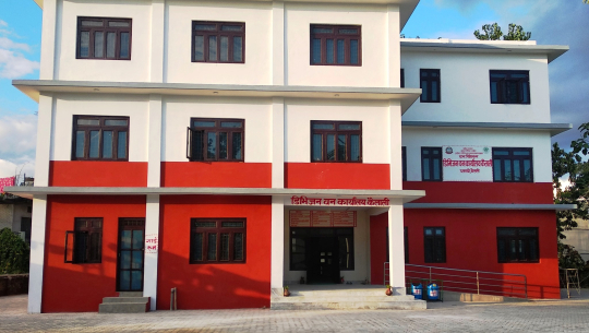 कैलालीमा काठको मूल्य दोब्बर, मनपरी बढेपछि डिभिजन वनबाटै मूल्यसूची