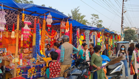 सुदूरपश्चिममा प्राकृतिक फूलको उत्पादन कम, प्रदूषण बढाउने कृत्रिम फूल आयात हुँदै