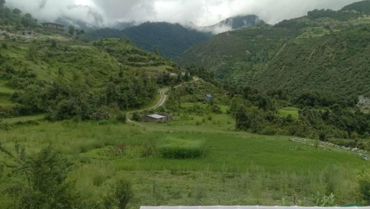 बझाङको सुर्माबाट ३५ लाखको आलु निर्यात