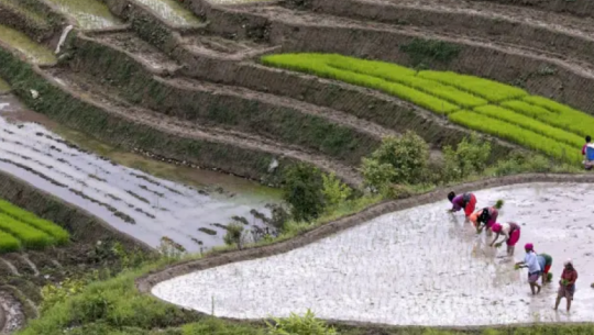 Challenges grow in Far-west agriculture, but opportunities remain strong